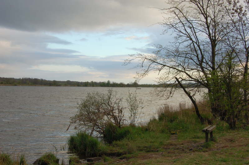 Castle Semple
