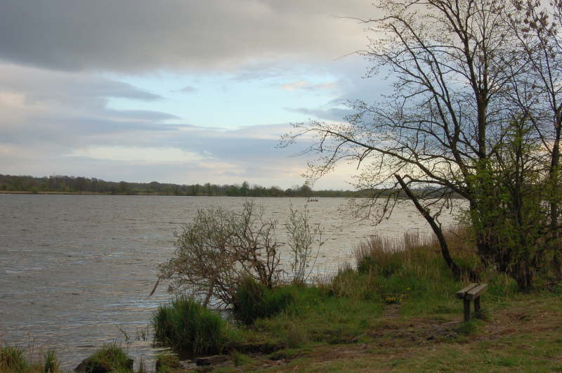 Castle Semple