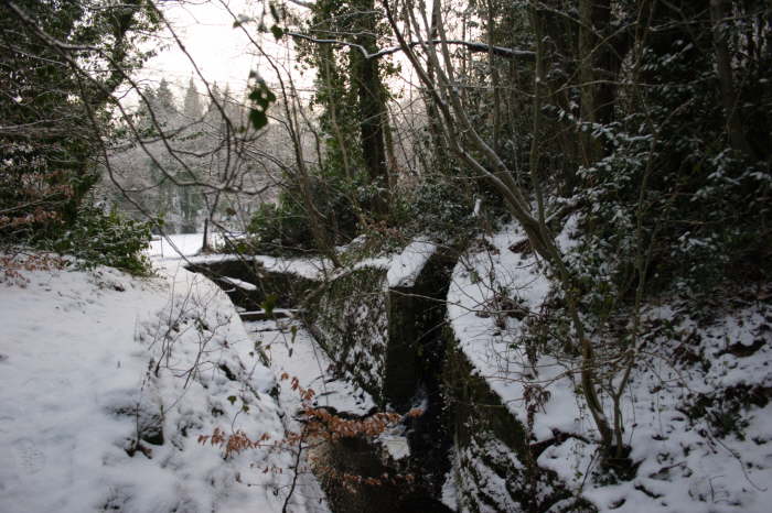 Glenfield in the Snow