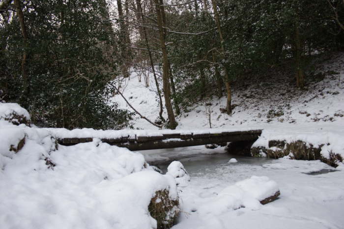 Gleniffer Country Park in Winter