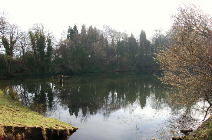 Bleaching Dam - Glenfield