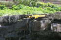 IMG_4814