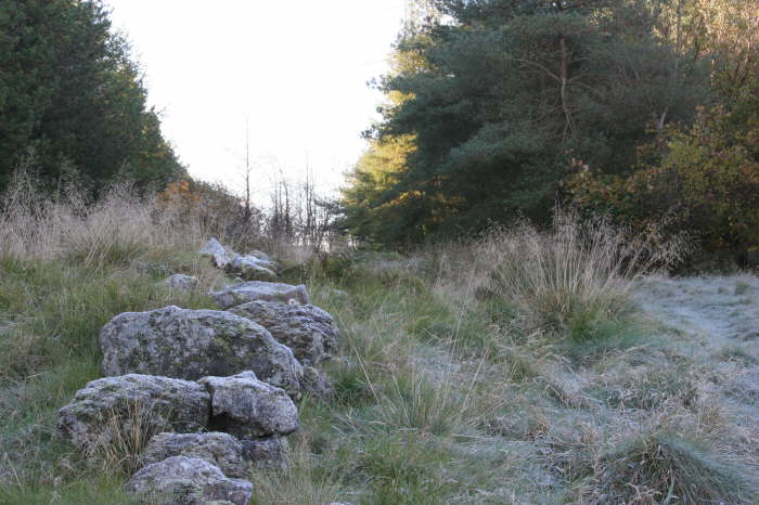 Gleniffer Braes