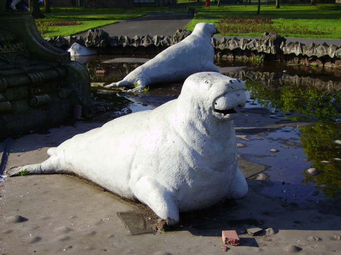 Walrus in the Fountain