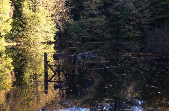 Glenfield Bleaching Dam