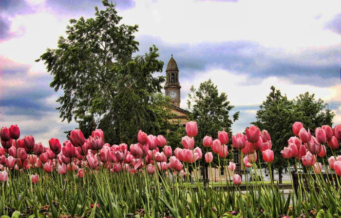 Town Hall in the Spring